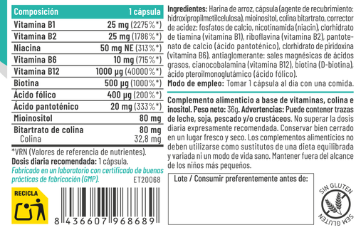 B Complex 60 Cápsulas – Feralive (imagen 2)