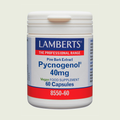 Pycnogenol® 40 mg – Lamberts